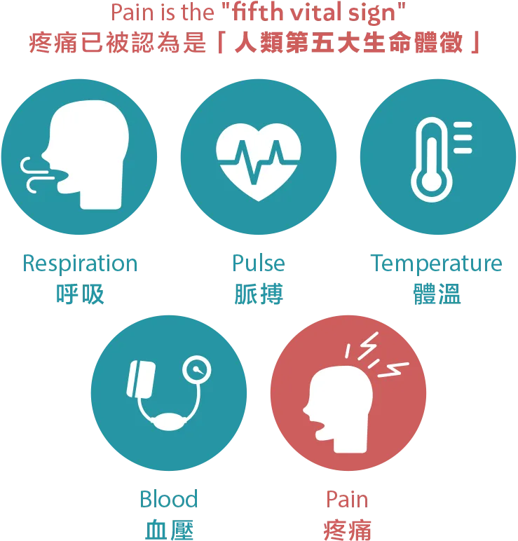 image2.png Pain is the